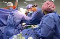 Una exitosa cirugía de alta complejidad salvó a un bebé en el Hospital Materno Infantil    