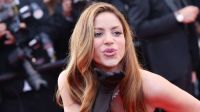 En medio de la polémica: el insólito video de Shakira en el que empuja a una fan