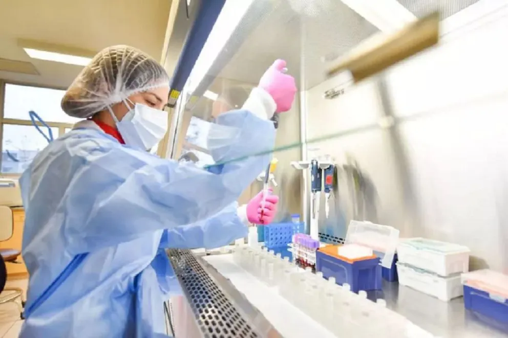 Alerta en Salta: se registra nuevamente un aumento de los casos de salmonella