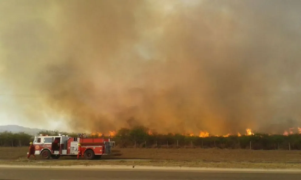 AHORA| Incendio de pastizales de gran proporción se desarrolla en la zona del Ejército