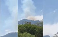 Incendio en un cerro salteño: bomberos combaten las llamas