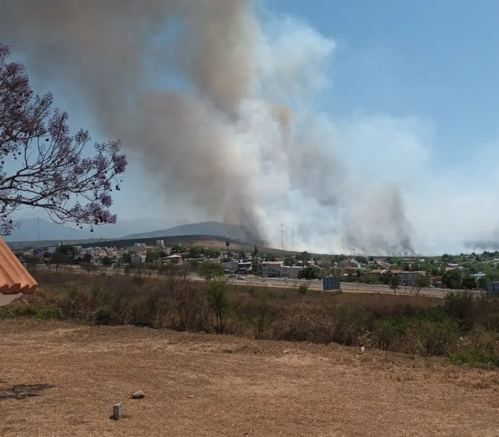 Incendio en el Campo Militar: más de 100 hectáreas fueron consumidas por el fuego