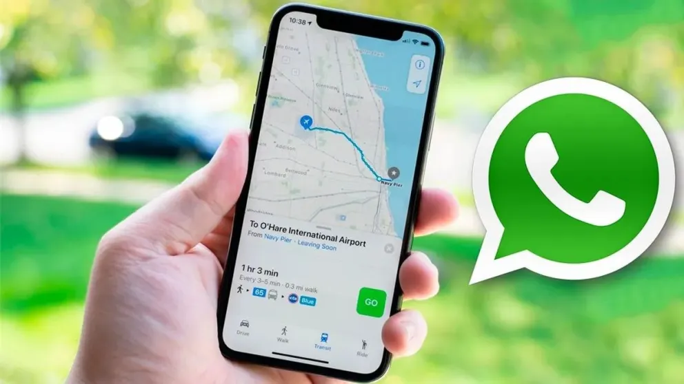 Nueva función de WhatsApp: así podes ocultar tu ubicación durante las llamadas