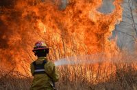 Incendios en cerros de San Lorenzo: tras cuatro días de focos activos se logró extinguir el fuego