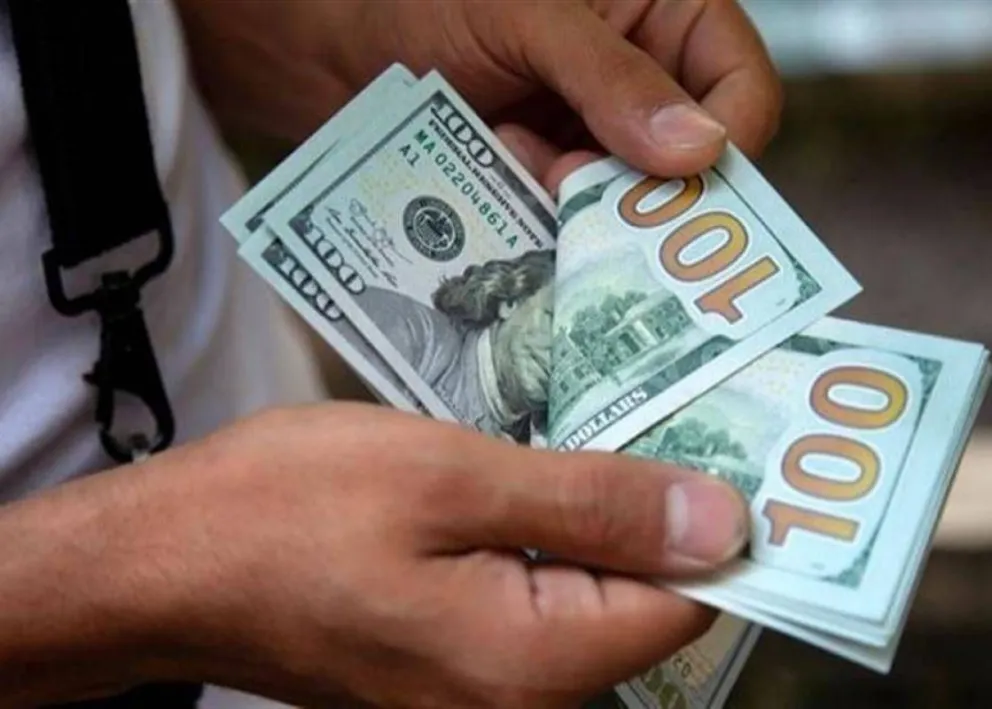 Dólar oficial y dólar blue: a cuánto abrió la cotización este miércoles 25 de octubre