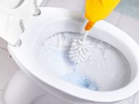 El truco casero que transforma la limpieza del inodoro: La poderosa razón detrás del uso de sal todas las noches