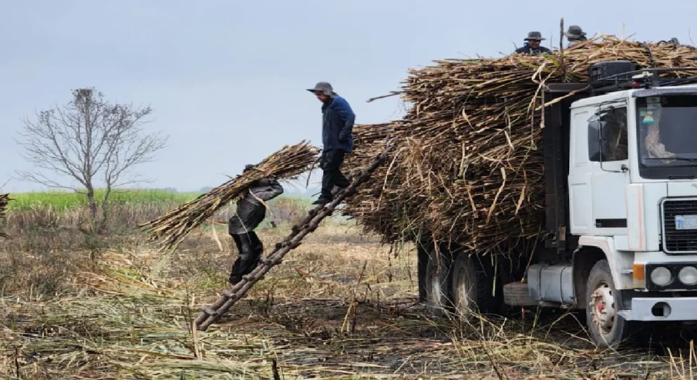 Operativo de AFIP en Salta: más de 30 adultos y 2 niños fueron rescatados de explotación laboral en campos de cultivo
