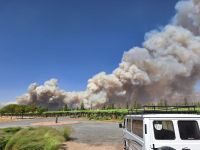 VIDEO| Feroz incendio forestal en Cafayate: bomberos salteños y nacionales combaten intensamente las llamas