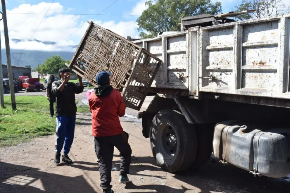 Dengue en Salta: cómo y cuándo se realiza el operativo de descacharrado en Tartagal