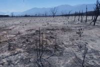 Así quedó Cafayate tras el feroz incendio forestal que arrasó varias hectáreas