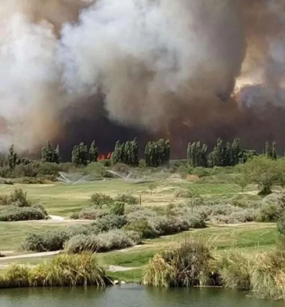 Incendio en Cafayate: 600 hectáreas fueron consumidas por el fuego