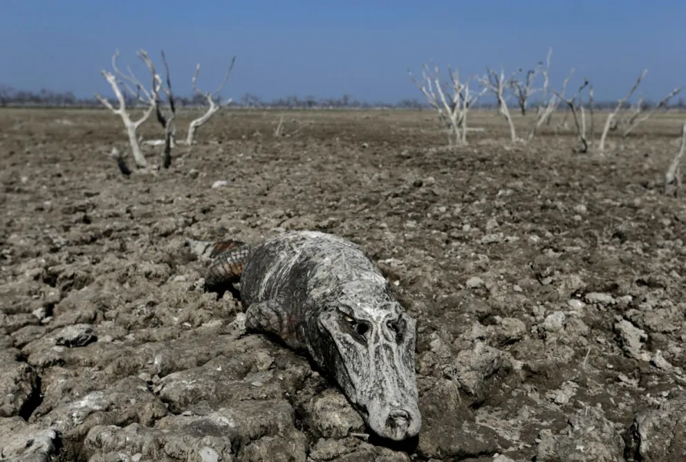 Sequía en el Río Pilcomayo: esperanza y alivio tras un aumento en los niveles del agua