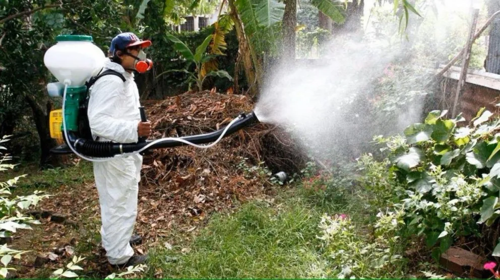 Orán sigue a la espera de las vacunas y los operativos de descacharrado para frenar el impacto del dengue