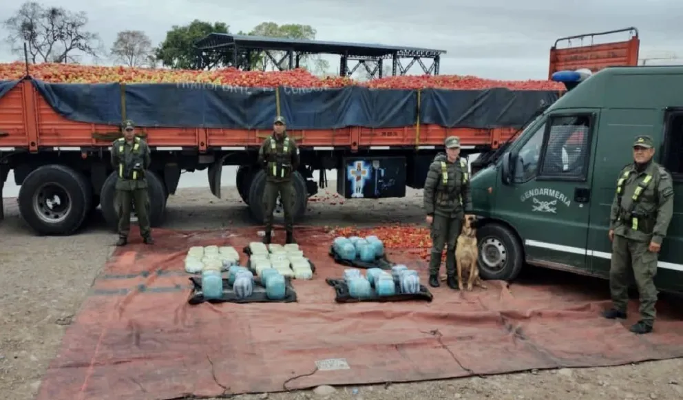 Descubren importante carga de marihuana en ruta 34: perro entrenado antinarcóticos dio la alerta