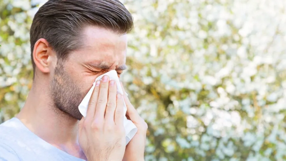 Te enseñamos a sobrevivir la primavera: los mejores consejos para evitar alergías