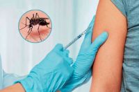 Vacuna contra el dengue en Salta: se estima que antes de fin de año comenzará la distribución