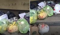 Molestos por la falta de recolección, nuevamente los vecinos de Orán dejan su basura en la puerta del Municipio