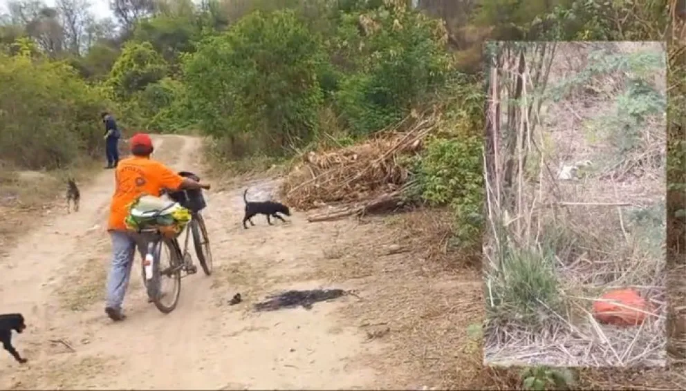 Conmoción en Tartagal: lugareños encontraron el cráneo de una persona en el monte