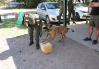 Córdoba: descubren más de un kilo de cocaína en un micro que provenía de Salta