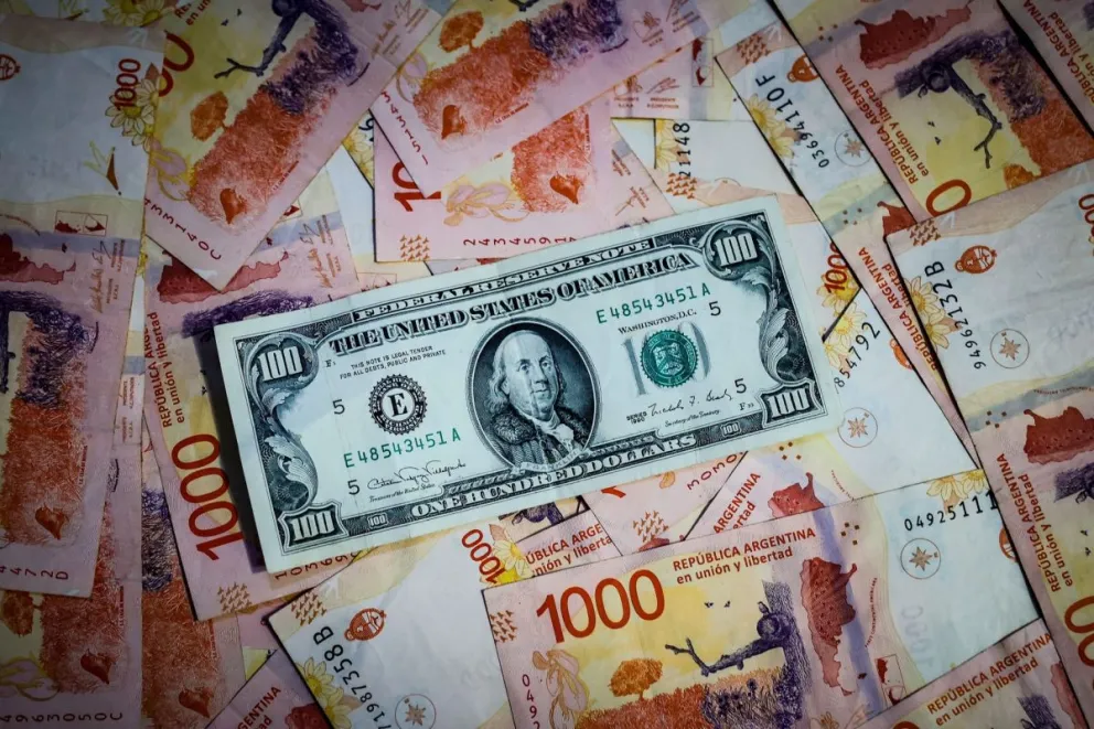 Dólar oficial y dólar blue: a cuánto abrió la cotización este míercoles 22 de noviembre