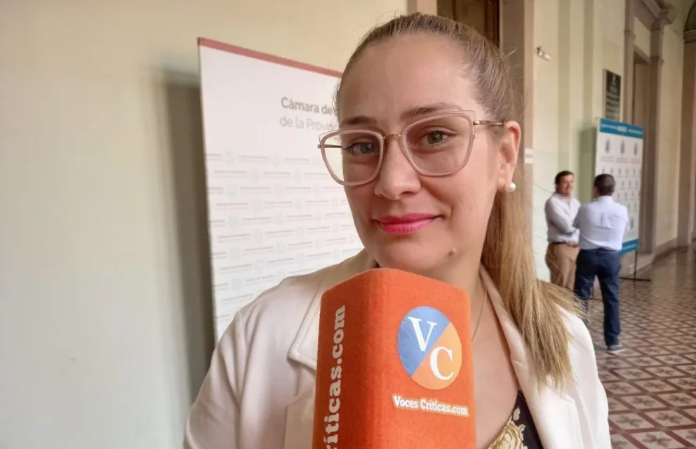 Julieta Perdigón en la previa a dejar su banca: "Me gustaría haber tenido la posibilidad de hacer realidad más proyectos"