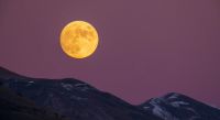 Advertencia astrológica: descubrí qué es la luna del castor y cómo afectará a cada signo del zodíaco