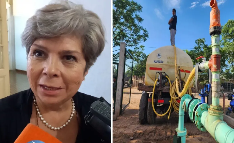 Gladys Paredes busca en Diputados prolongar la emergencia hídrica por un año más en Salta