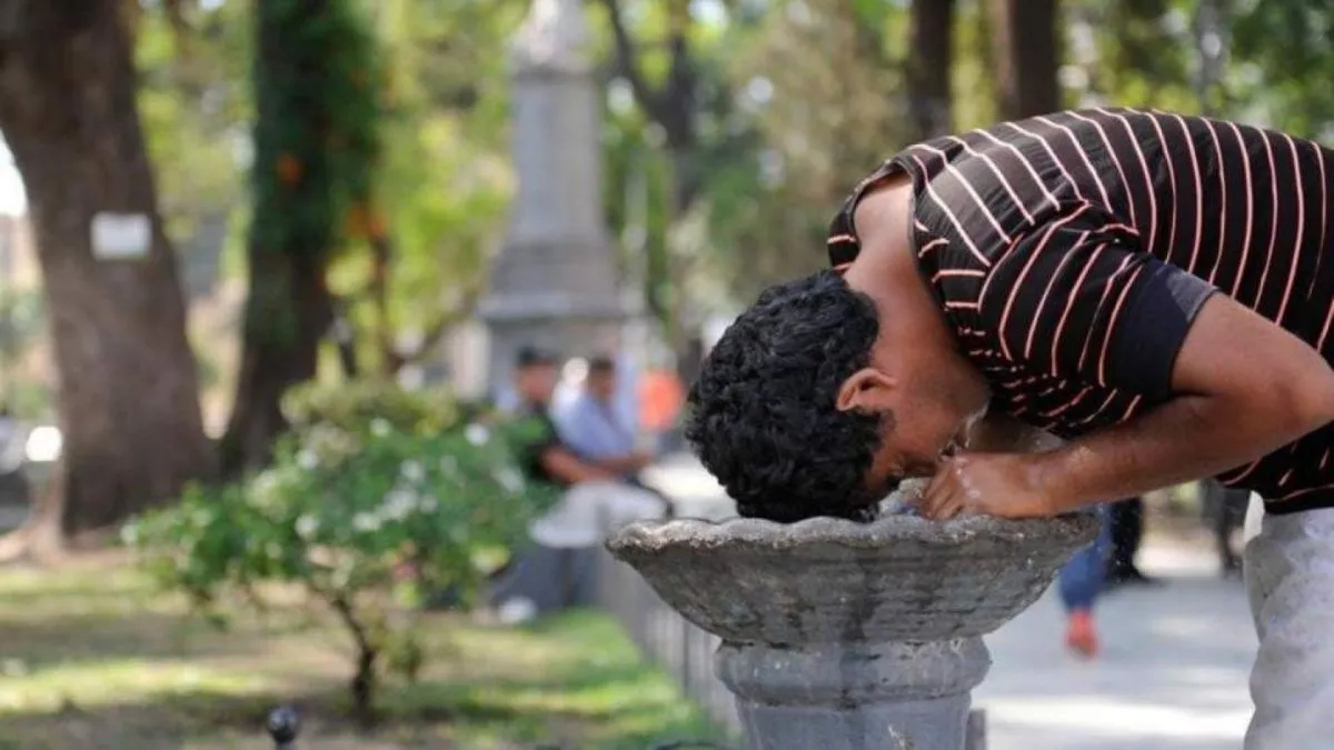 Calor en Salta