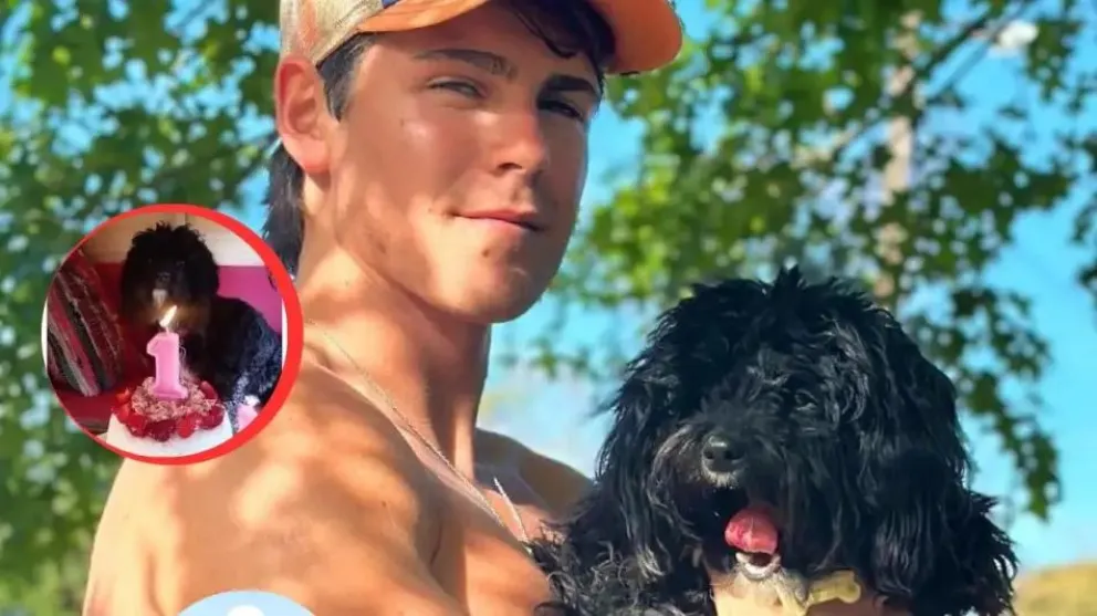 Marcos Ginocchio mostró la flamante mini mansión que le hizo para su perrita, Morita: foto