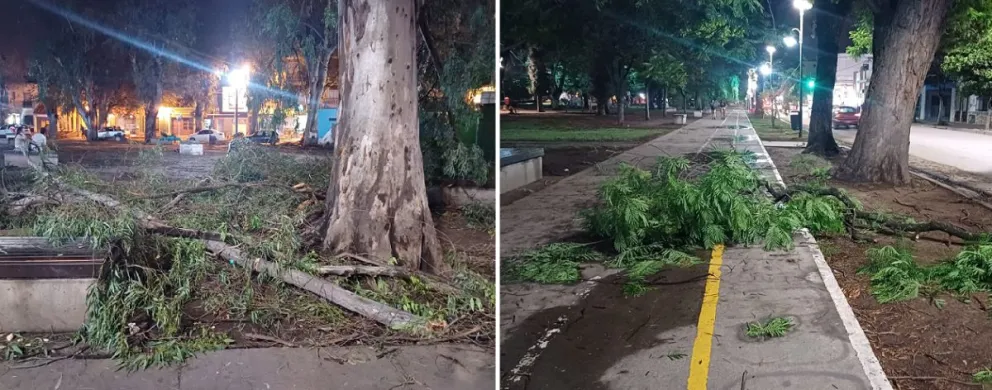 Fuerte temporal: así quedó el parque San Martín tras la tormenta
