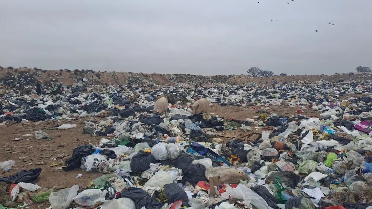 Basura Salta