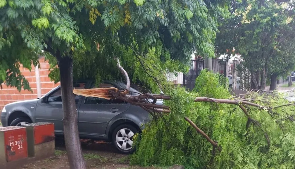 Tras el intenso temporal, qué trámite deben realizar los salteños para reclamar por los daños sufridos