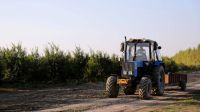 El sector agropecuario salteño pide que Javier Milei cumpla con la eliminación de las retenciones