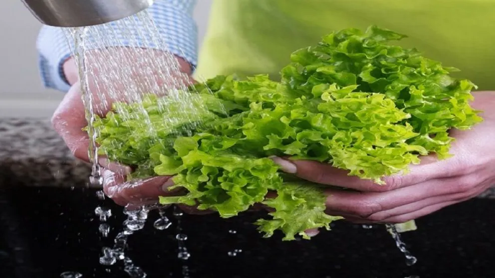 Se promueve la inocuidad alimentaria como prevención contra la Salmonella