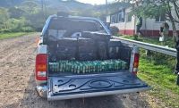 La policía salteña detuvo a dos sujetos que llevaban 132 kilos de hojas de coca hacia Jujuy