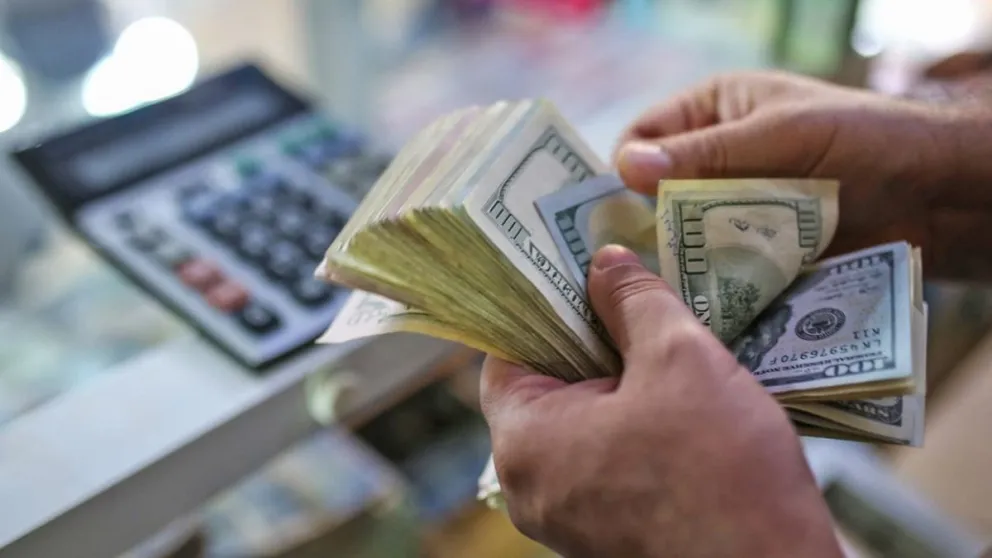 Dólar oficial y dólar blue: a cuánto abrió la cotización este jueves 14 de diciembre