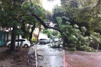 La tormenta en Salta revela el descuido de la antigua gestión: móviles viejos y motosierras sin cadena