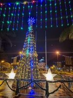 A solo horas de ser encendido, vandalizaron el tradicional árbol de Navidad de Tartagal     