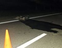 Accidente fatal en la Ruta 50: un hombre murió tras el choque entre un auto y una moto