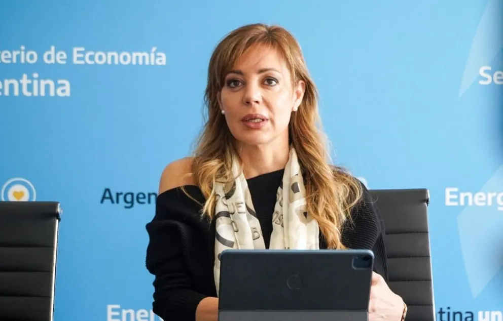 La salteña Flavia Royón fue oficializada secretaria de Minería del Gobierno de Javier Milei    