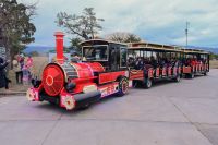 Otra atracción para este verano: vuelve a funcionar el tren del Parque del Bicentenario