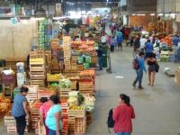 Los salteños aprovechan las ofertas en el Mercado Cofruthos: estos son los precios de las frutas y verduras