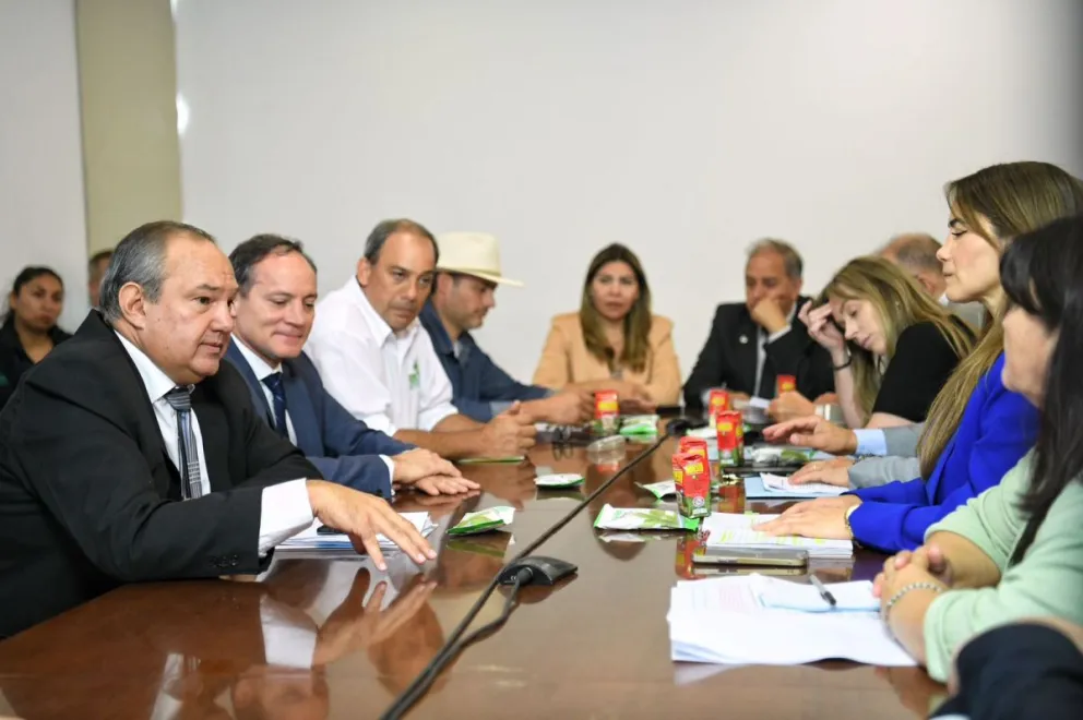 Encabezados por Sergio Leavy, Senadores recibieron a trabajadores de la yerba mate para analizar el DNU