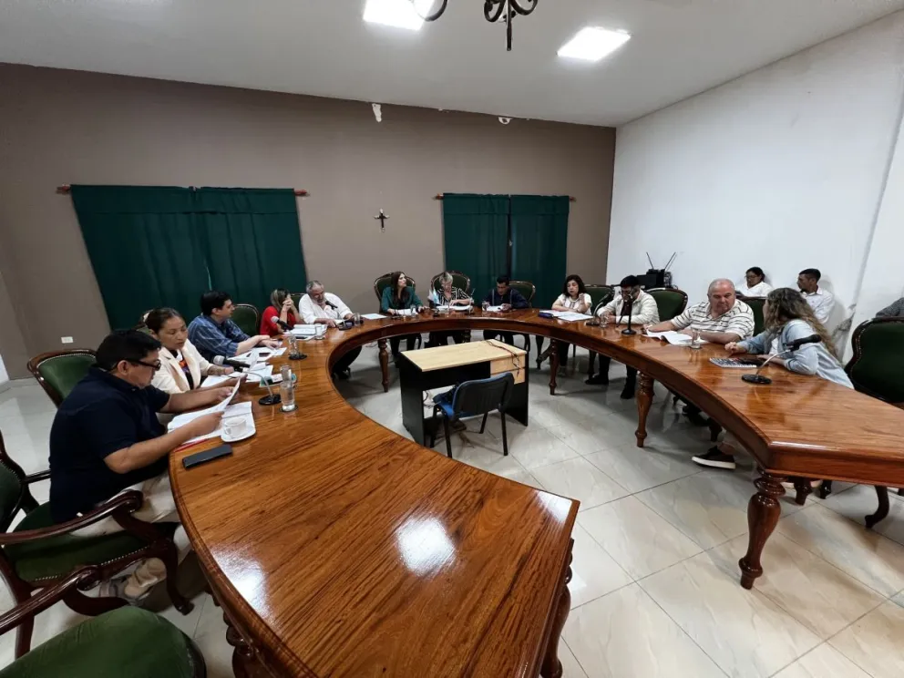 Escándalo en el Concejo Deliberante de Orán: el secretario de la presidenta fue denunciado por golpear a su pareja