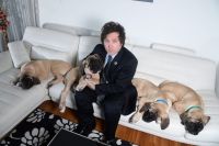 Javier Milei pronto recibirá a sus perros en la Quinta de Olivos: avanza la construcción de los caniles