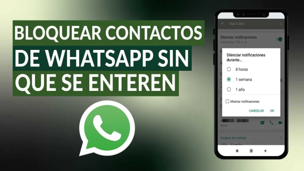 El sorprendente truco de cómo bloquear a una persona en WhatsApp sin que se dé cuenta