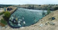Río Arenales: la Justicia exigió medidas urgentes respecto a las verduras regadas con aguas contaminadas