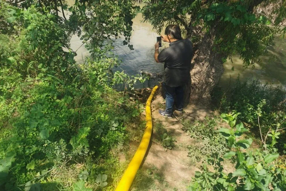 Analizaron verduras regadas con aguas contaminadas del Río Arenales: tenían salmonella 