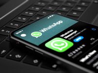 Llega la pantalla compartida a WhatsApp: descubrí cómo activarla y para qué sirve