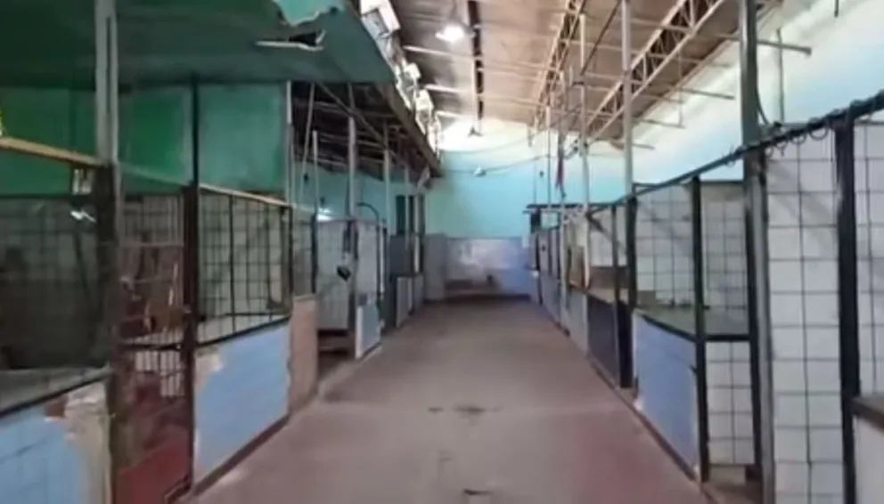 Denuncian que el mercado municipal de Tartagal quedó en estado de abandono tras la gestión de Mario Mimessi